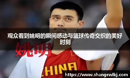 观众看到姚明的瞬间感动与篮球传奇交织的美好时刻