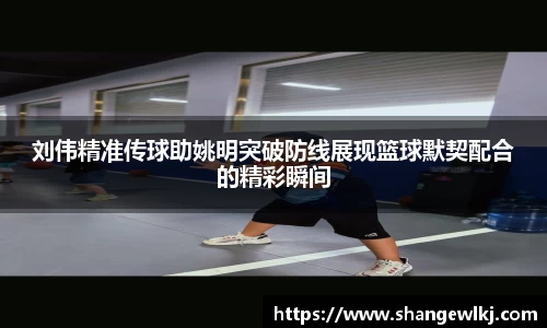 刘伟精准传球助姚明突破防线展现篮球默契配合的精彩瞬间