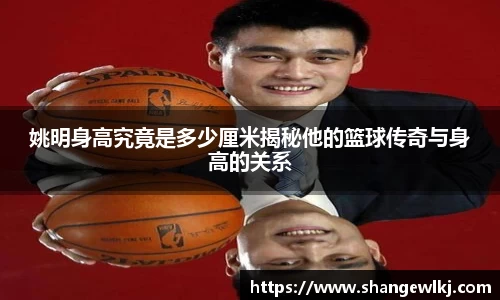 姚明身高究竟是多少厘米揭秘他的篮球传奇与身高的关系
